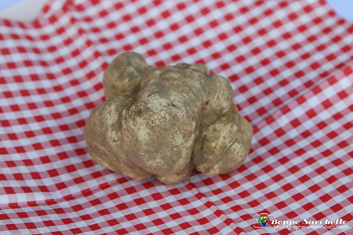 VBS_5554 - 10.ma Fiera Nazionale del Tartufo e Fiera dei Santi.jpg